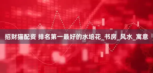 招财猫配资 排名第一最好的水培花_书房_风水_寓意