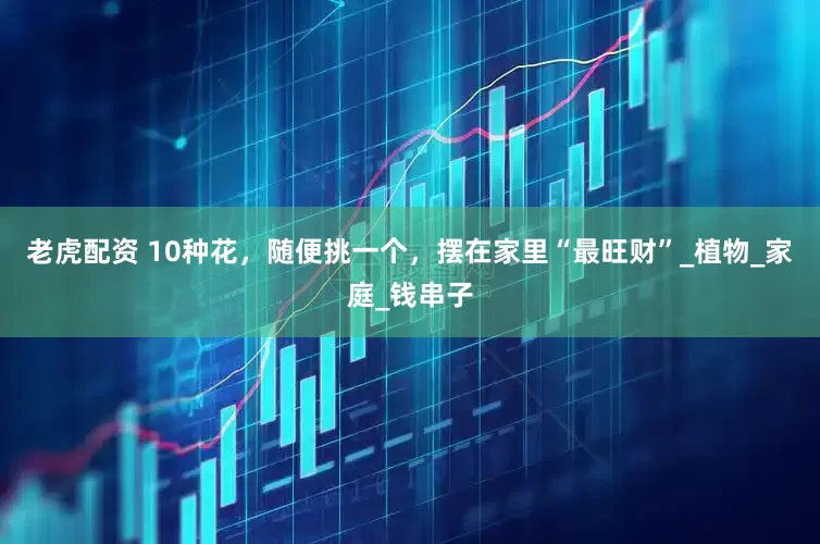 老虎配资 10种花，随便挑一个，摆在家里“最旺财”_植物_家庭_钱串子