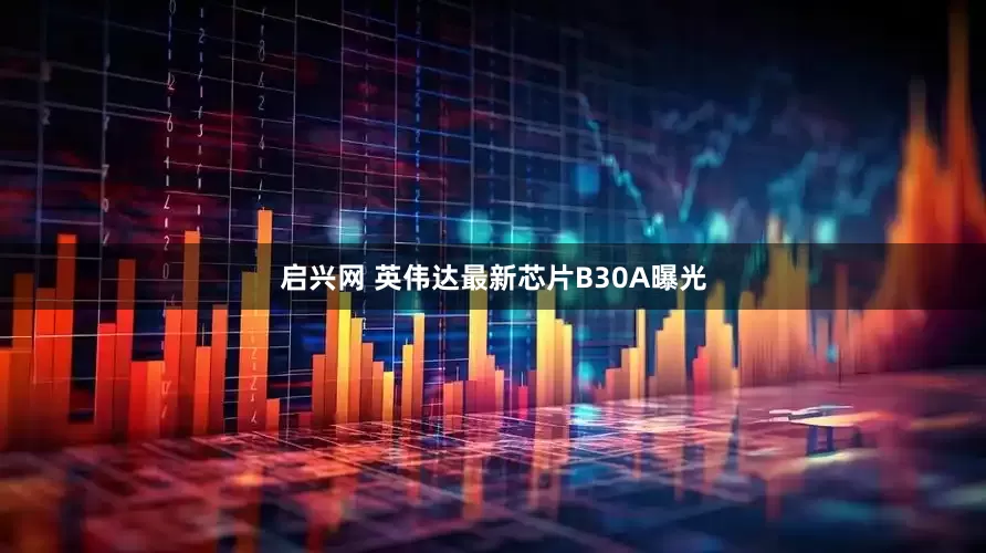 启兴网 英伟达最新芯片B30A曝光