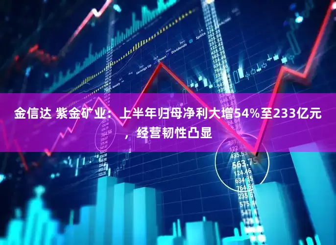 金信达 紫金矿业：上半年归母净利大增54%至233亿元，经营韧性凸显
