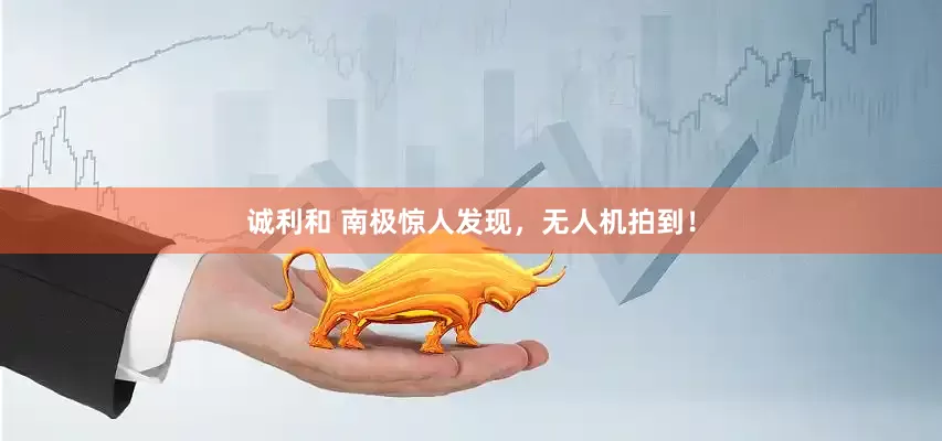 诚利和 南极惊人发现，无人机拍到！