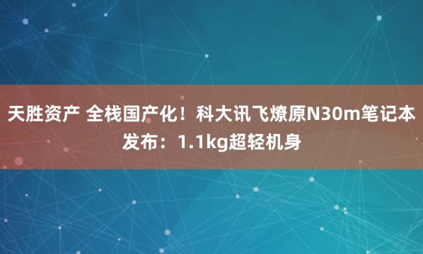天胜资产 全栈国产化！科大讯飞燎原N30m笔记本发布：1.1kg超轻机身